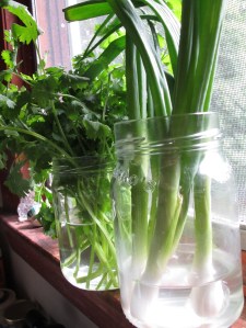 ???????????????????????????????